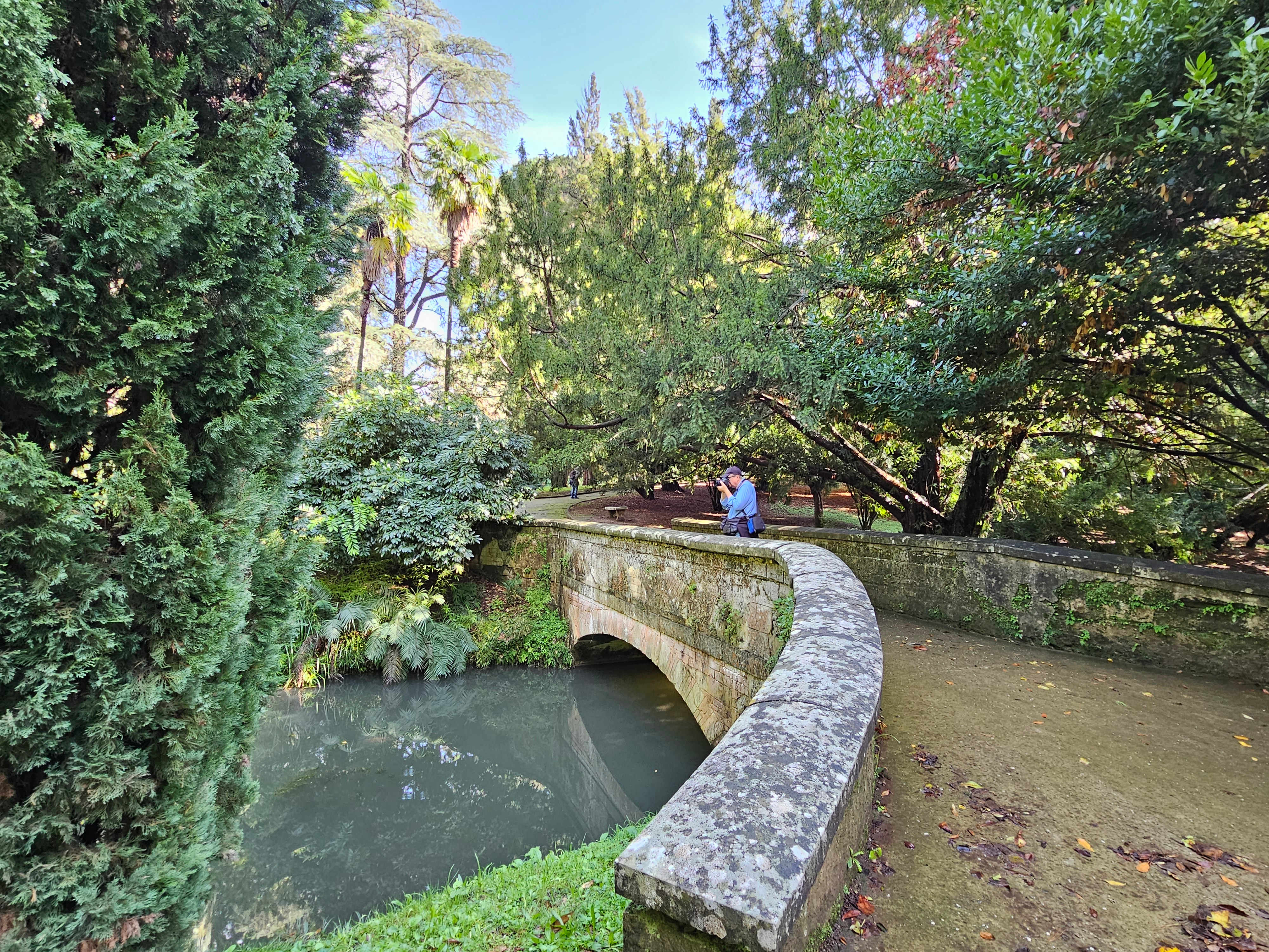 English Garden